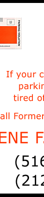 Irene F. Parrino, Esq. is a former Parking Violations Administrative Law judge who specializes in fighting parking tickets for businesses of all sizes in New York City.